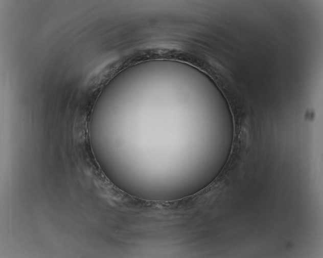 X0000111501014200907281246