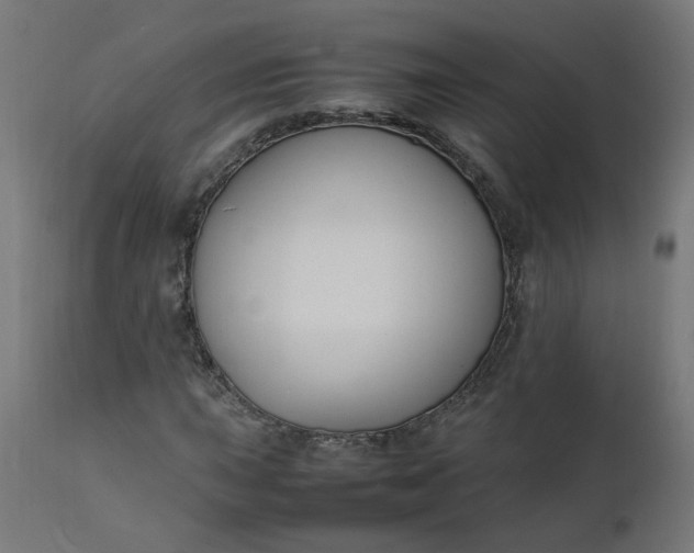 X0000111501015200907281246