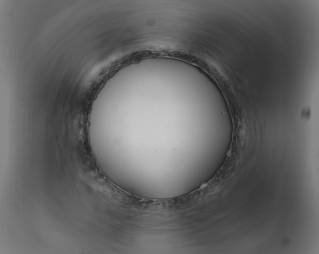 X0000111501016200907281246