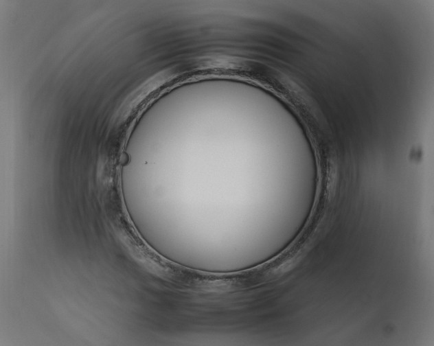 X0000111501017200907281246