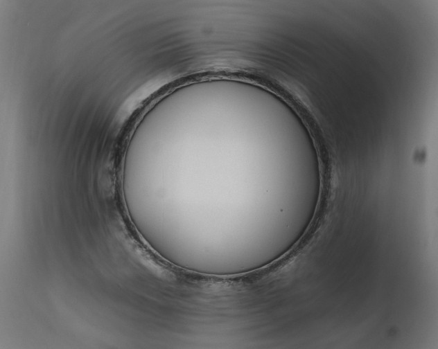 X0000111501018200907281246