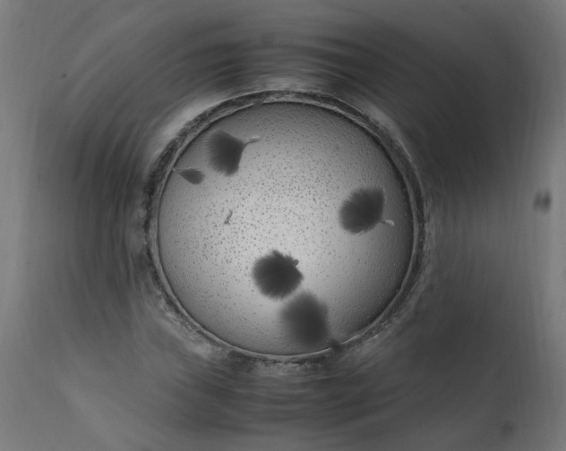 X0000111501019200907281246