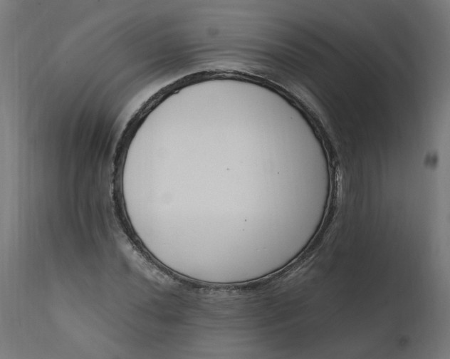 X0000111501020200907281246