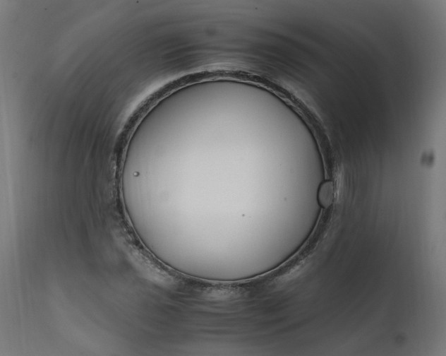 X0000111501021200907281246