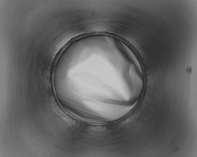 X0000111501023200907281246