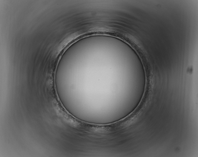 X0000111501025200907281246