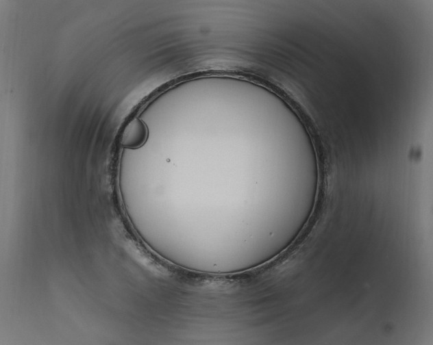 X0000111501026200907281246