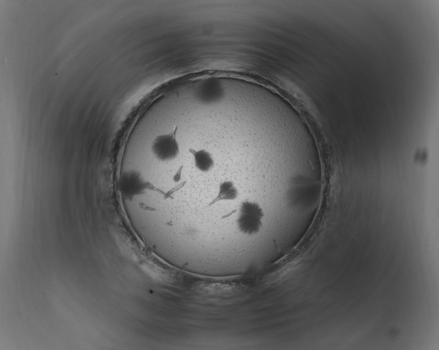 X0000111501027200907281246