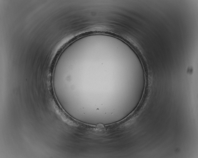 X0000111501029200907281246