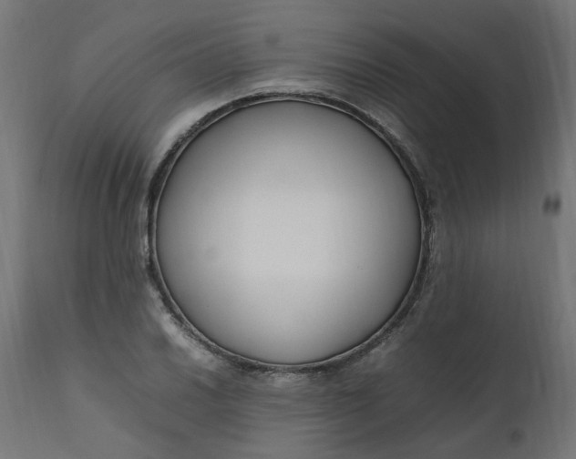 X0000111501030200907281246