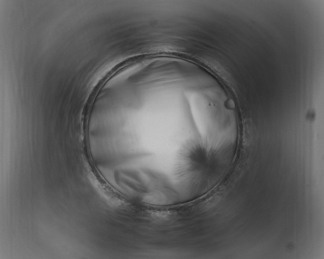 X0000111501031200907281246