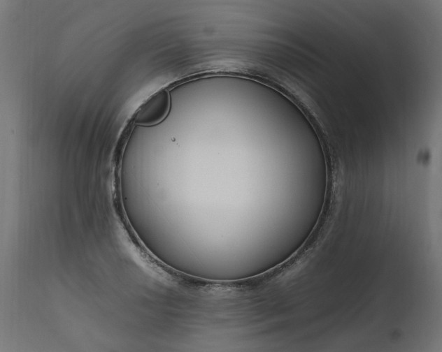 X0000111501034200907281246