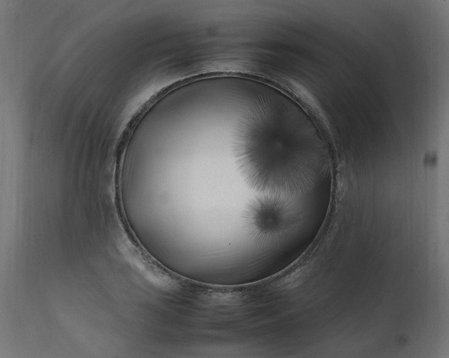 X0000111501035200907281246