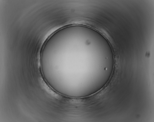 X0000111501036200907281246