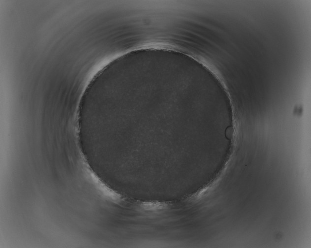 X0000111501037200907281246