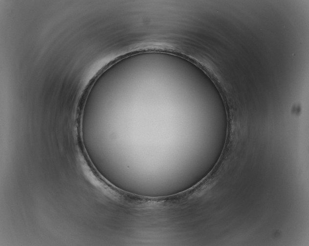 X0000111501038200907281246