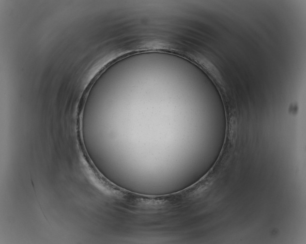 X0000111501039200907281246