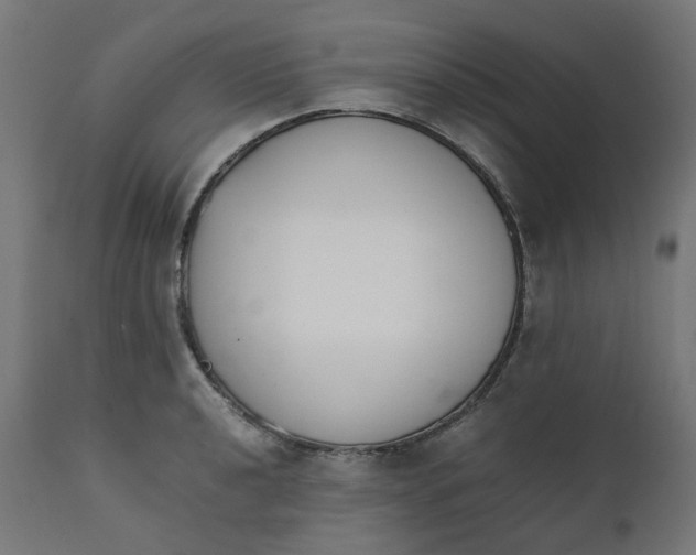 X0000111501040200907281246