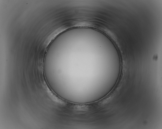 X0000111501041200907281246