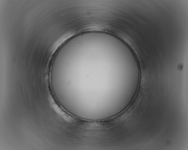 X0000111501042200907281246