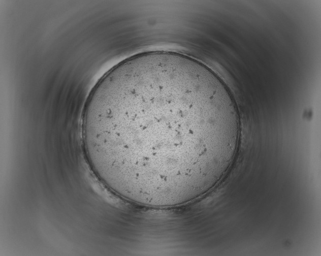 X0000111501044200907281246