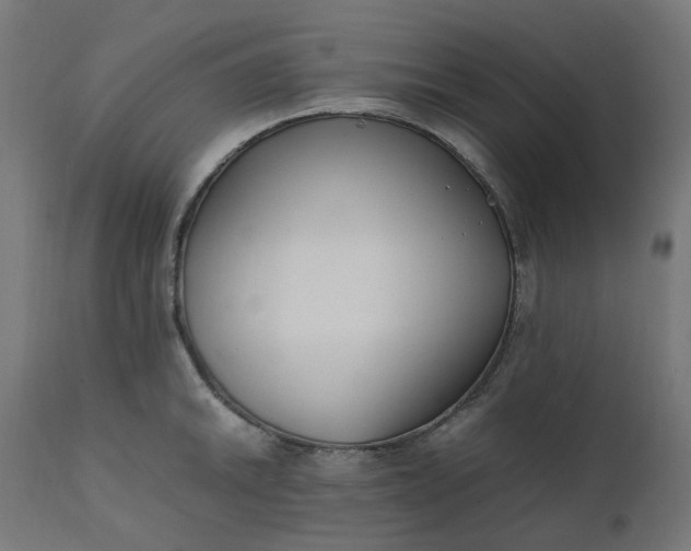 X0000111501046200907281246