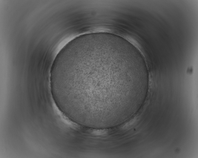 X0000111501047200907281246