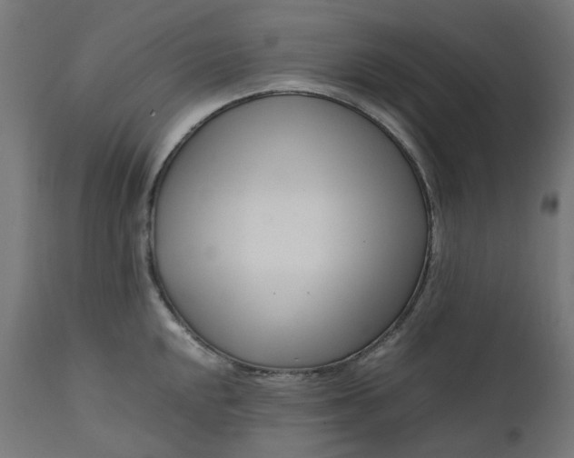 X0000111501048200907281246