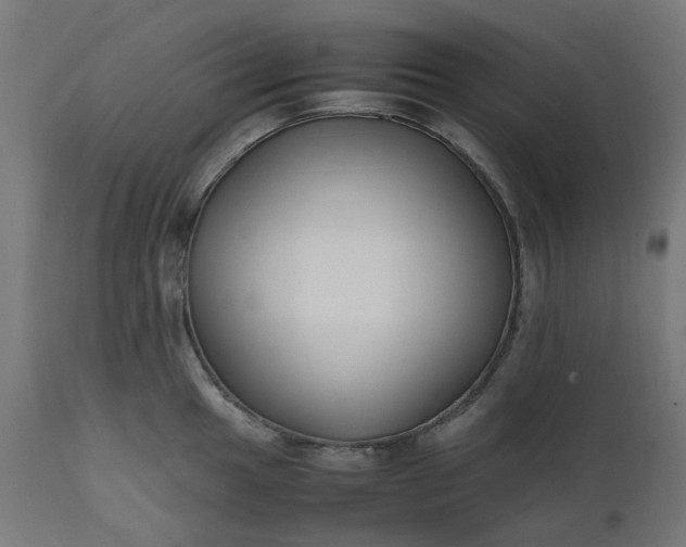 X0000111501049200907281246