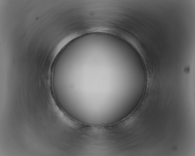 X0000111501050200907281246