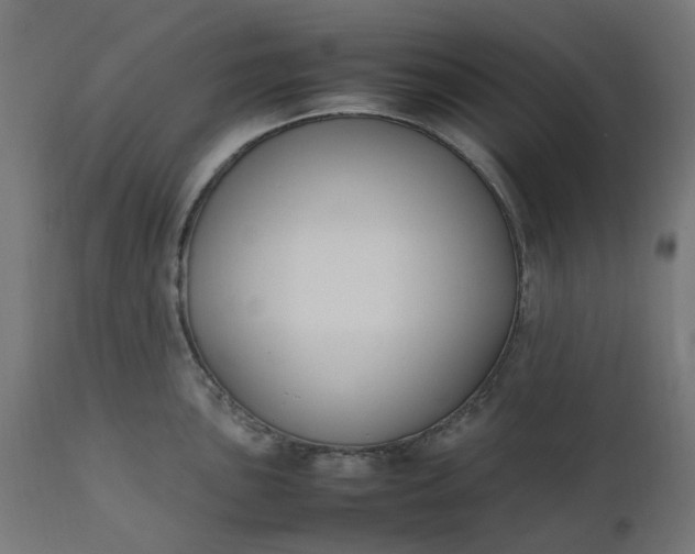 X0000111501051200907281246