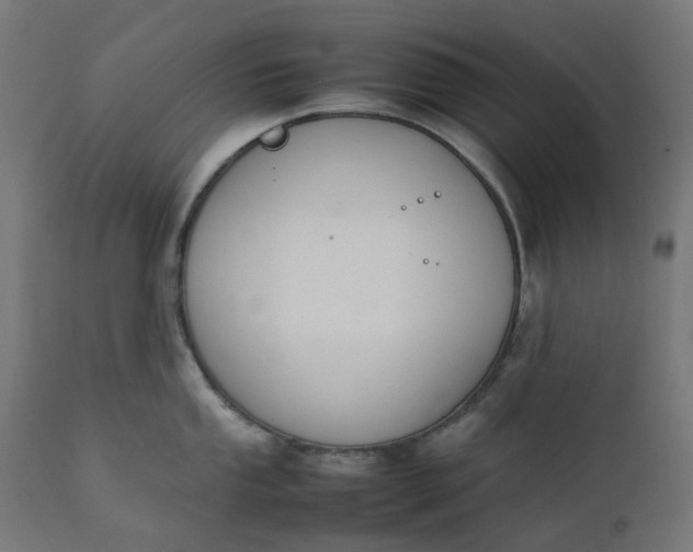 X0000111501053200907281246