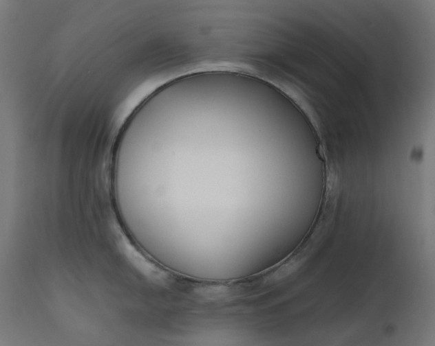 X0000111501054200907281246