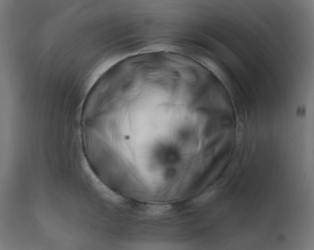 X0000111501055200907281246