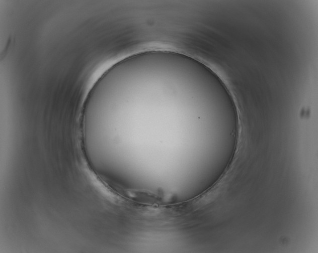 X0000111501056200907281247