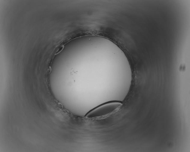 X0000111501057200907281246