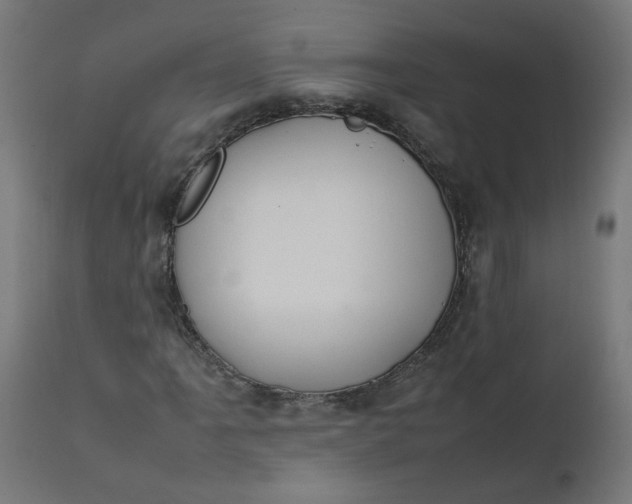 X0000111501061200907281246