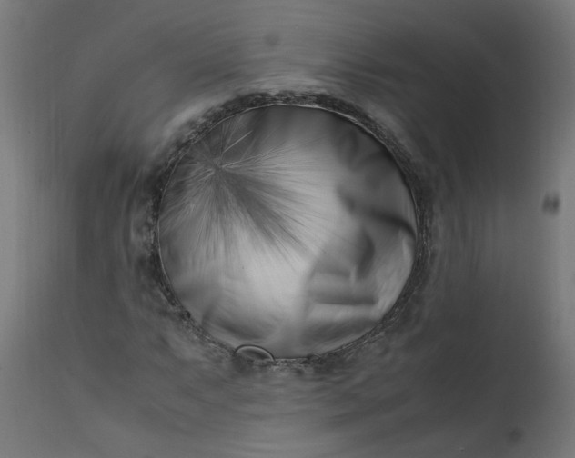 X0000111501063200907281246