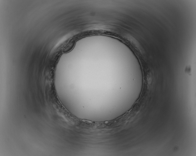 X0000111501064200907281246