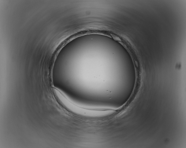 X0000111501065200907281246