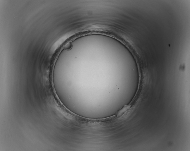 X0000111501066200907281246