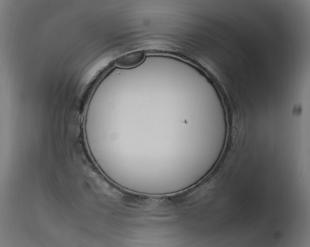 X0000111501067200907281246