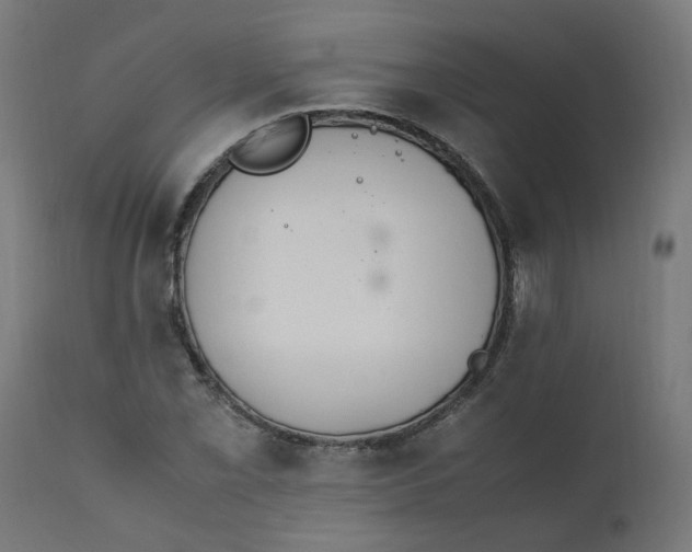 X0000111501069200907281246