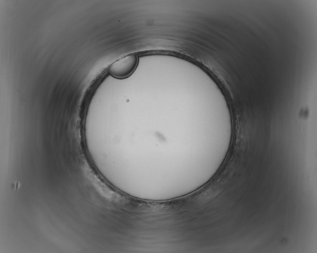 X0000111501072200907281246