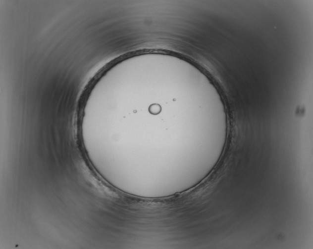 X0000111501076200907281246