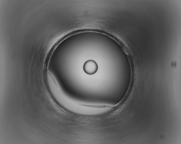 X0000111501077200907281246