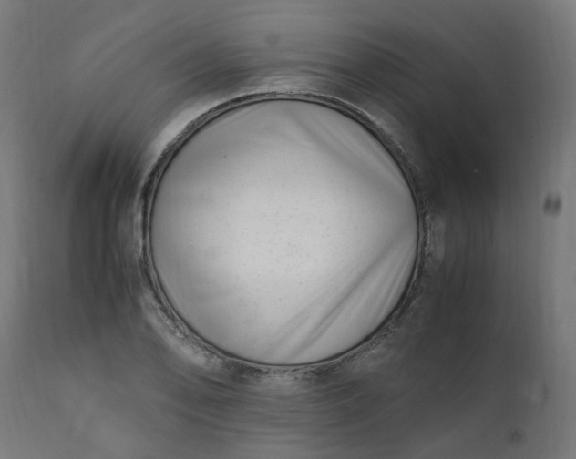 X0000111501078200907281246