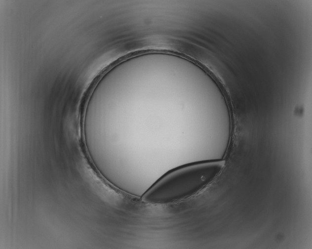 X0000111501080200907281246