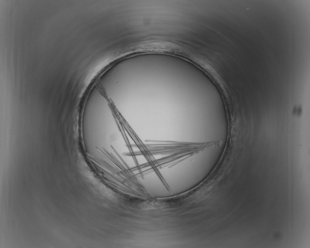 X0000111501083200907281245