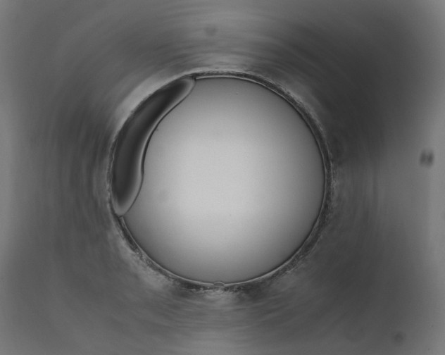 X0000111501085200907281245